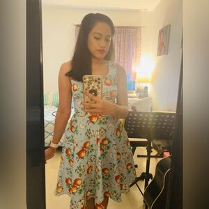 Hell Bunny Blue Apple Somerset Dress NWT